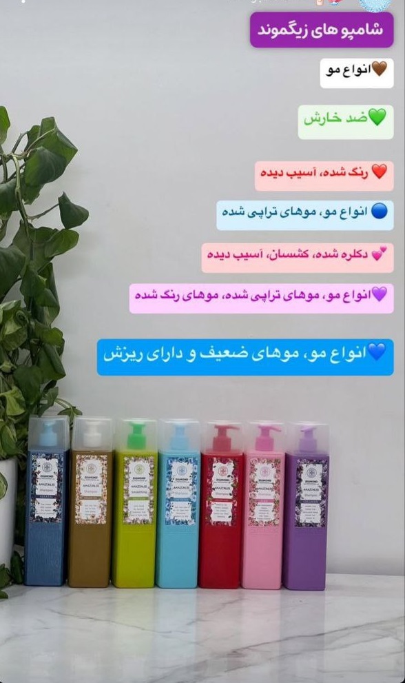 شامپو زیگموند