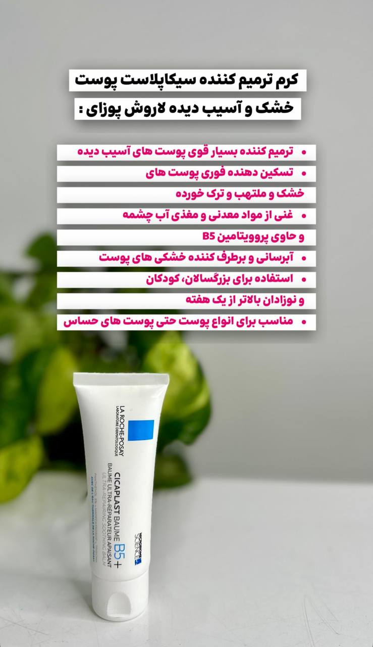 ترمیم کننده لاروشن