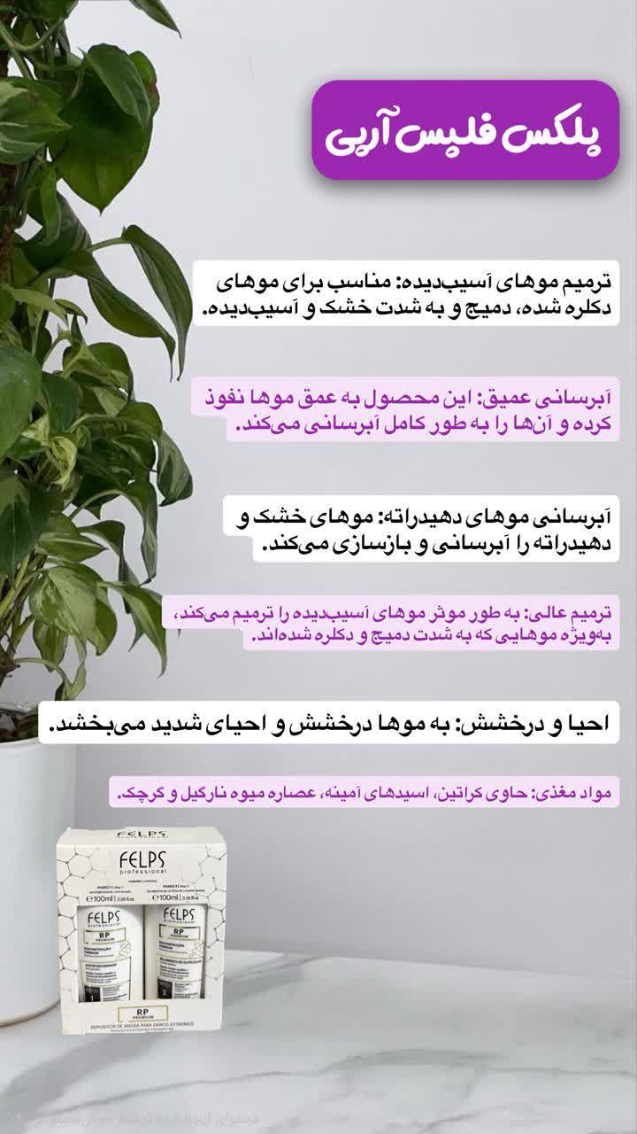 پلکس فلپس۱۰۰میل