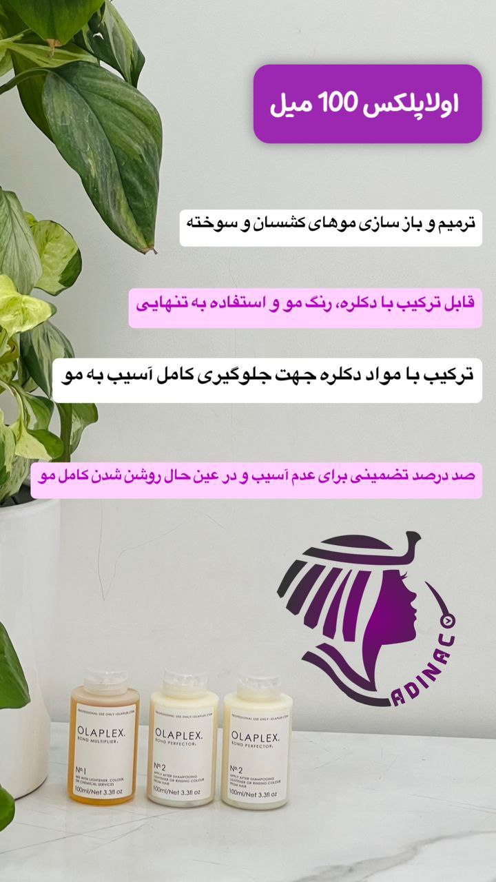 اولا پلکس
