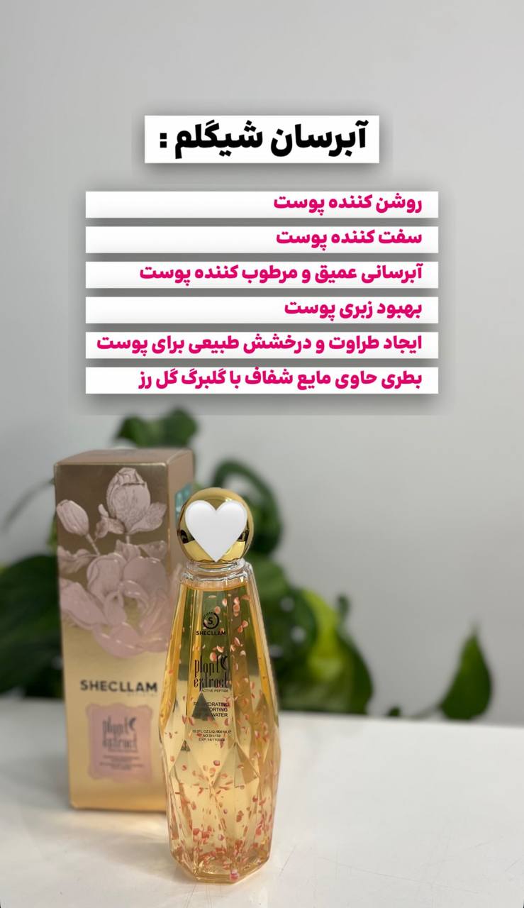 آبرسان شیگلم