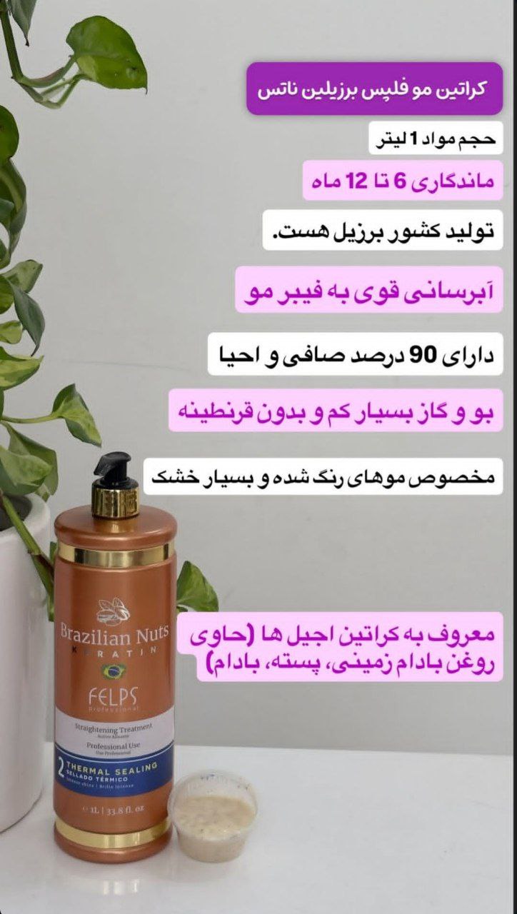 فلپس برزیلین ناتس